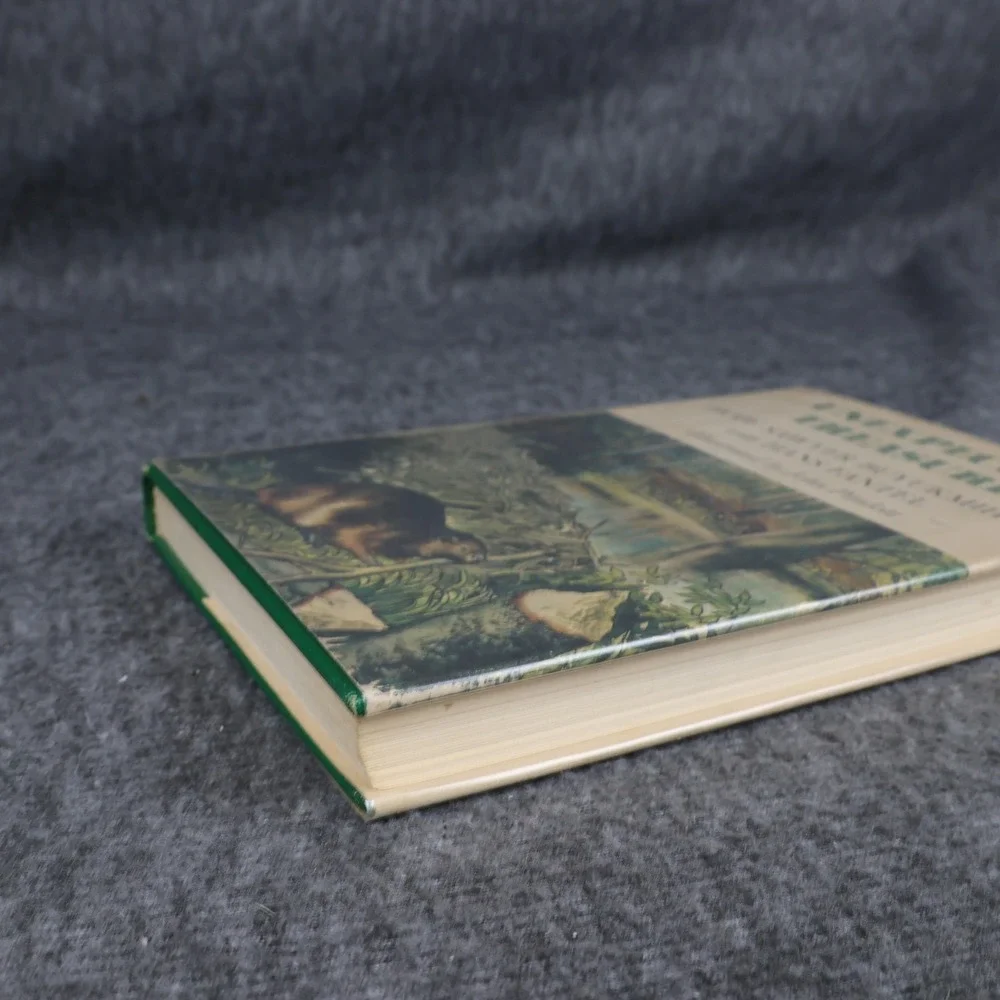 Vintage Unexpected Treasure Hope Sawyer Buyukmihci Green HC DJ 1st Ed 1968 USA